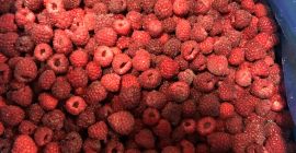 Malina Vilamet Clase I en caja 12 kg, 90/10