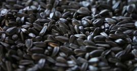 Nombre del producto №1: Semillas de girasol (certificado ISCC)