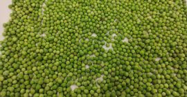 Venderé guisantes congelados. Saco de 25 o 30 kg.