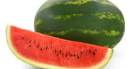 Sandías frescas cultivadas por expertos en el campo de