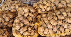 Venderé papas nuevas. Mercancías frescas, desenterradas a la orden.