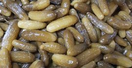 Venderé pepinos encurtidos en barril, variedades atomik, sonata, oktobus.