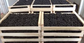 Somos del pueblo de Dondușeni, una familia que se