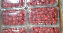 Uva Tomate cherry premium envasado [teléfono]g disponible [teléfono] uds