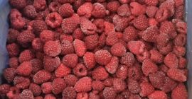 Raspberry roland 90/10 con ECO-CERTIFICADO