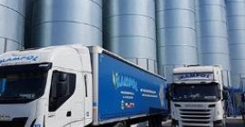 Compraré: Mijo, lino, girasol, soja, trigo sarraceno, guisantes, guisantes,