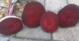 La empresa Polish-vegetables.eu ofrece remolacha. Calibre 5-9. Sacos de