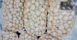 Hola tengo a la venta papas tiernas variedad vineta