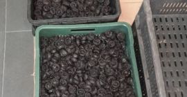 Vendemos ciruelas secas: Tipo: Stanley Humedad: de 18-35% Envase: