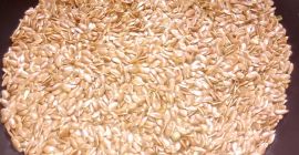 El precio es un precio de referencia.