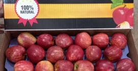 Vendo contenedores de manzanas que vienen de las montañas
