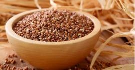 Granos de trigo sarraceno del productor LLC &quot;Dar Zemli&quot;,