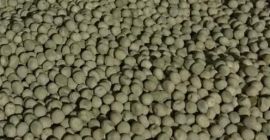 Vendemos guisantes madrás (big bags), lote 2023, 100 toneladas
