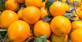 Me complace informarles que Me complace informarles que las naranjas Navel frescas están