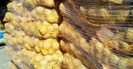 Cumpar cartón de consumo ambalati la bolsa de 10