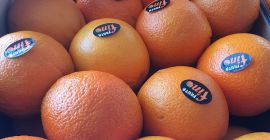 DIRECTAMENTE DEL FABRICANTE Naranjas griegas grado 1, precio 0,90