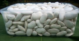 Judías blancas grandes, 70-80 piezas/kg, producción ecológica, embalaje: saco