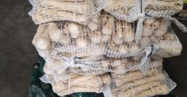 Hola, les ofrezco verduras REMOLACHA PATATA COL APIO PEREJIL