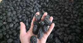 Aquí está el anuncio de venta de ciruelas pasas,