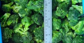 Brócoli congelado IQF de buena calidad con buenos precios