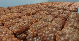 Cebolla Amarilla 50+ Origen Rumania Entrega en todos los