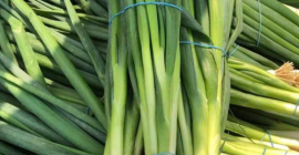 Disponemos de cebollino fresco a la venta. Posibilidad de