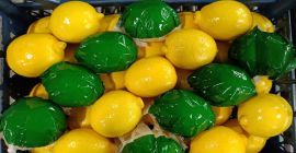 VERDURAS Y FRUTAS frescas y de alta calidad procedentes