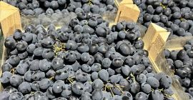 Deléitese con el rico sabor de las uvas de
