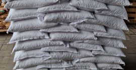 Frijoles disponibles toda la temporada, 100/130 -100 gramos Envasados