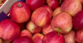 Venderé una manzana Gala rayada, cualquier embalaje, posiblemente en