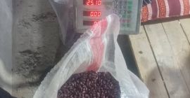 Vendemos frijoles pelados de la variedad Royal (Tashkent) de