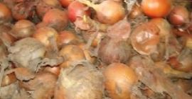 CEBOLLA AMARILLA - PARA PELAR - CALIBRE aproximadamente 60%