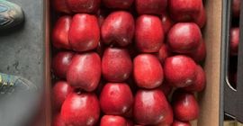 Vendo manzanas rojas Jonaprince.