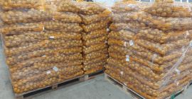 Vendemos papas rojas. Ofrecemos bolsas de malla de 5