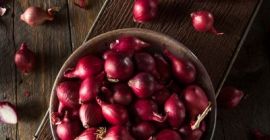 Cebolla morada cosecha 2024, calibre 5+ de la más