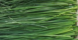 Vendo cebollino en manojos o por kg, precio negociable.