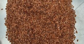 Pureza de las semillas de lino 99,95-99,99%. Embalaje bajo