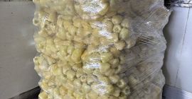 ❗️¡Vendemos verduras frescas rumanas al por mayor! ❗️¡Vendemos verduras