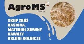 Compramos cereales: trigo, triticale, centeno, avena, colza, maíz seco