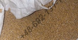 Nos gustaría ofrecerle la compra de semillas de mostaza