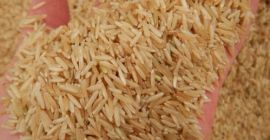 Subida de basmanti / Arroz basmanti Oferta de arroz