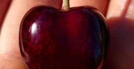 Hola, te invito al huerto familiar CHERI ORCHARD Ofrecemos