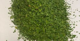 Ofrecemos a la venta perejil seco. Color verde, aroma