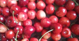 Venderé cerezas de Poznań Venderé cerezas de Poznań sin productos químicos, sanas, bastante