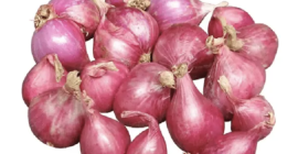 Mayorista de cebolla fresca / cebolla blanca - Gran