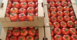 Cerezas, guindas, albaricoques, melocotones, nectarinas de melocotón, frambuesas..... coles,