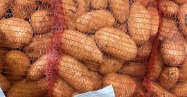 Patatas Spunta, origen marruecos. Envase: sacos de 10/15/25kg, Big