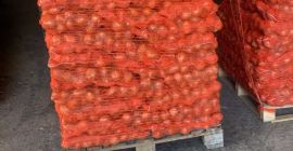 Vendo cebollas producidas en Serbia en 2024, envasadas en