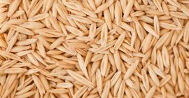 Vendo avena variedad Maxi. Cosecha 2024. Cantidad 100 toneladas.