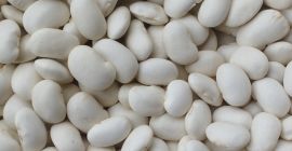 Hola, tenemos frijoles jack enanos a la venta, tamaño